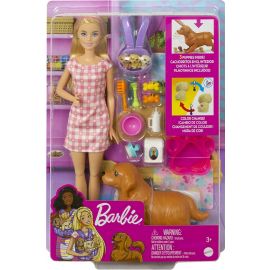 BarbieÂ® Doll And And Newborn Pups Playset With Dog, 3 Puppies & Accessories